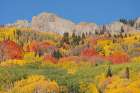 USA, Colorado, Gunnison National Forest. Mountain and forest in autumn. Art Print